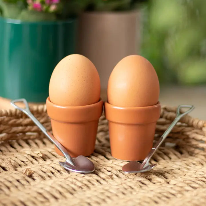 Plant Pot Egg Cups