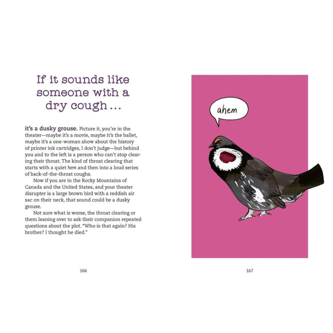 Bird Talk - Hilarious Accurate Ways To Identify Birds