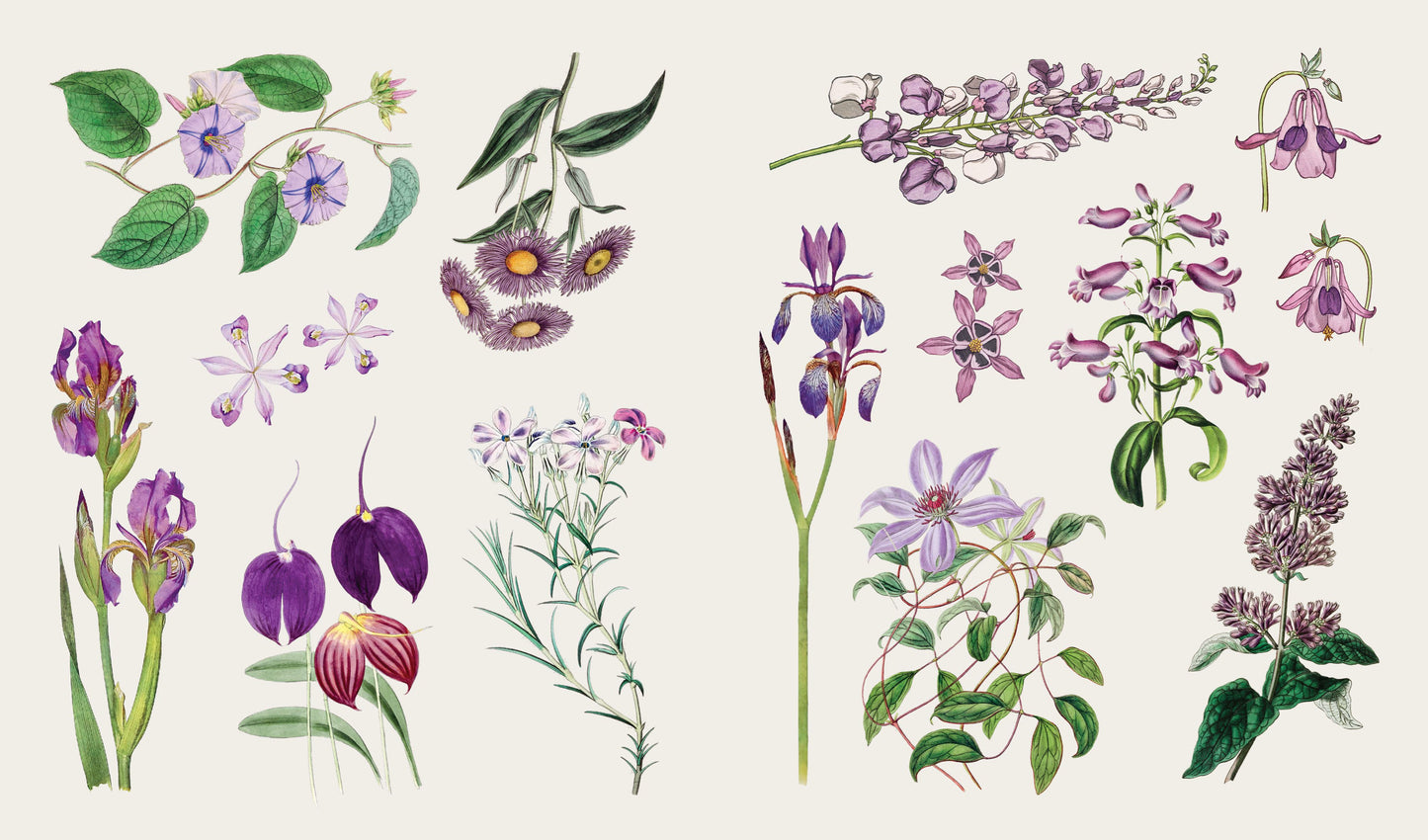 Blooms and Butterflies - Sticker Book