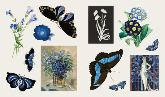 Blooms and Butterflies - Sticker Book