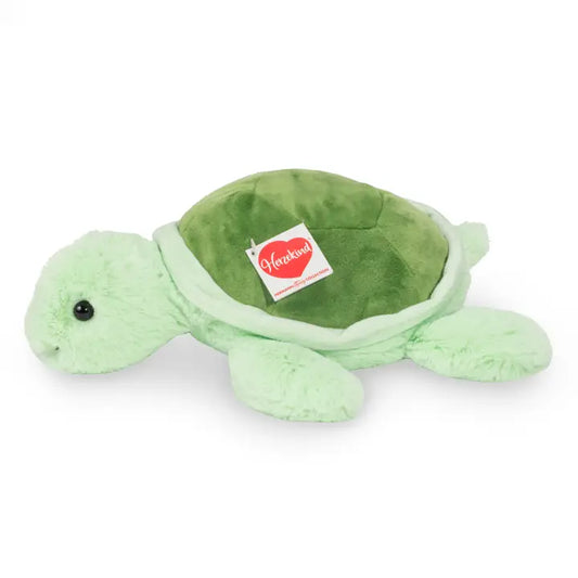 Hermann Sandy Turtle