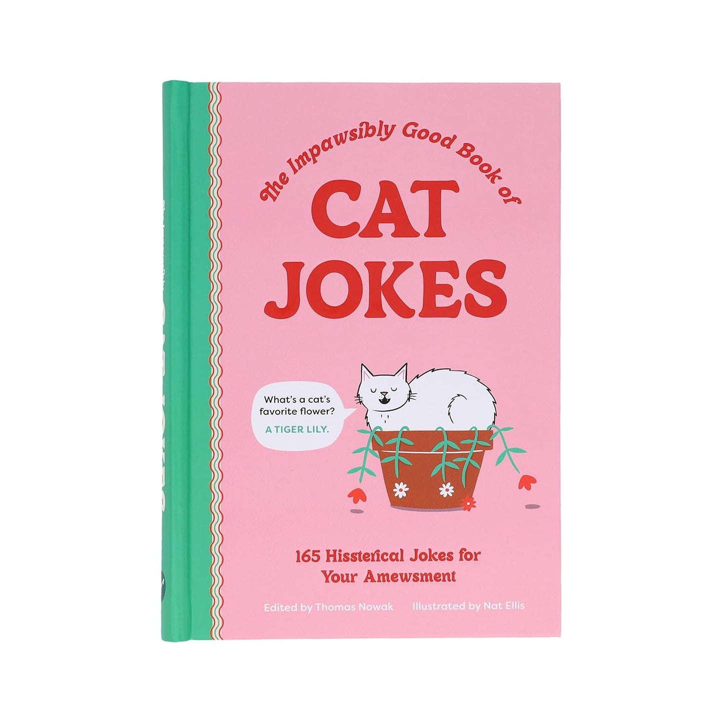 Cat Jokes