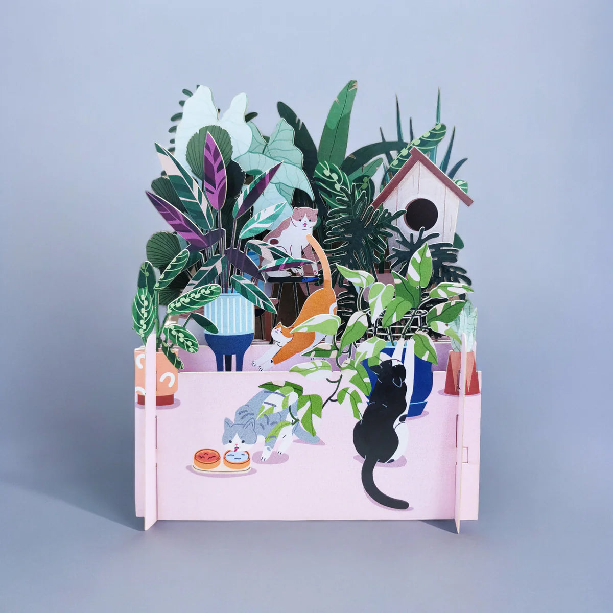 Pop Up Card Plants And Cats