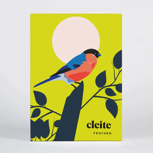 Feather Greeting Card Box