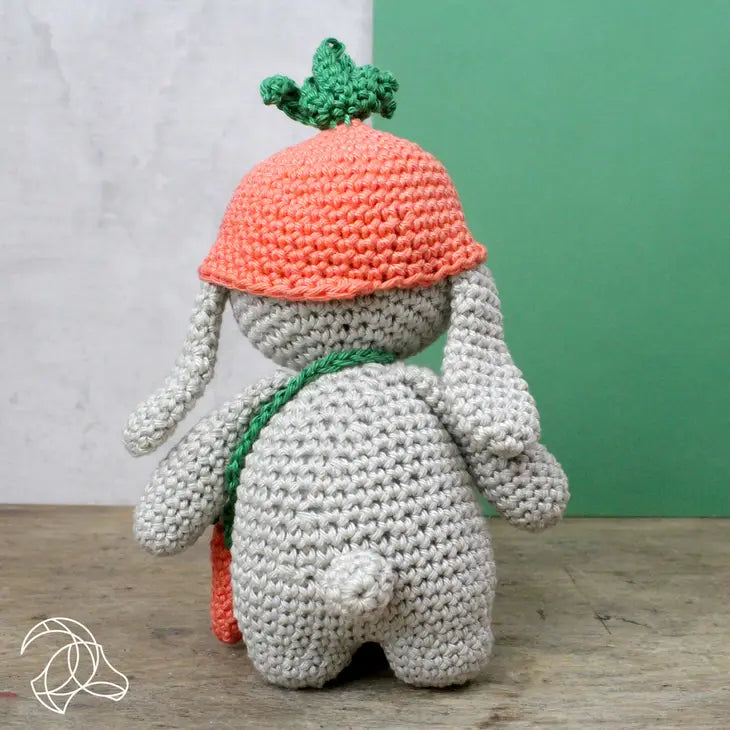 Diy Crochet Kit - Frank Rabbit