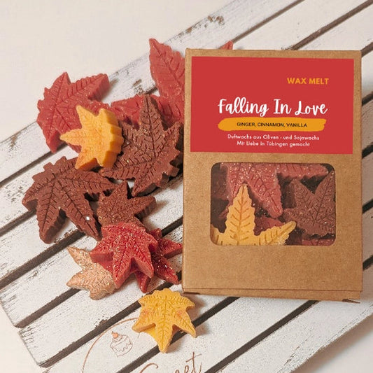 Falling in Love Wax Melts