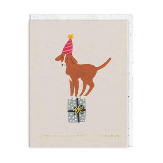 Happy Birthday To My Faviurite Human - Ohh Deer Card