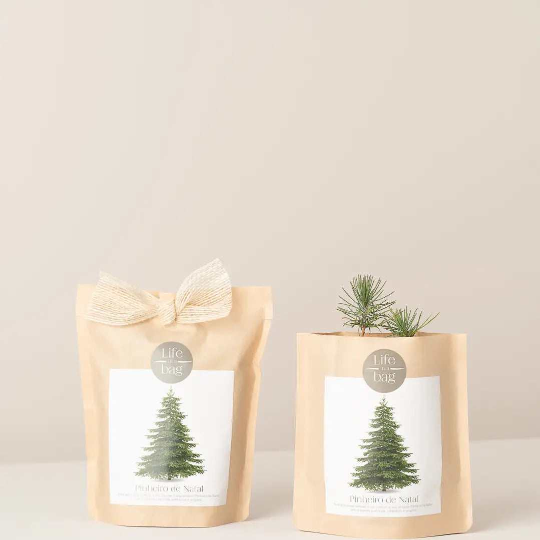 Grow Bag Christmas Tree