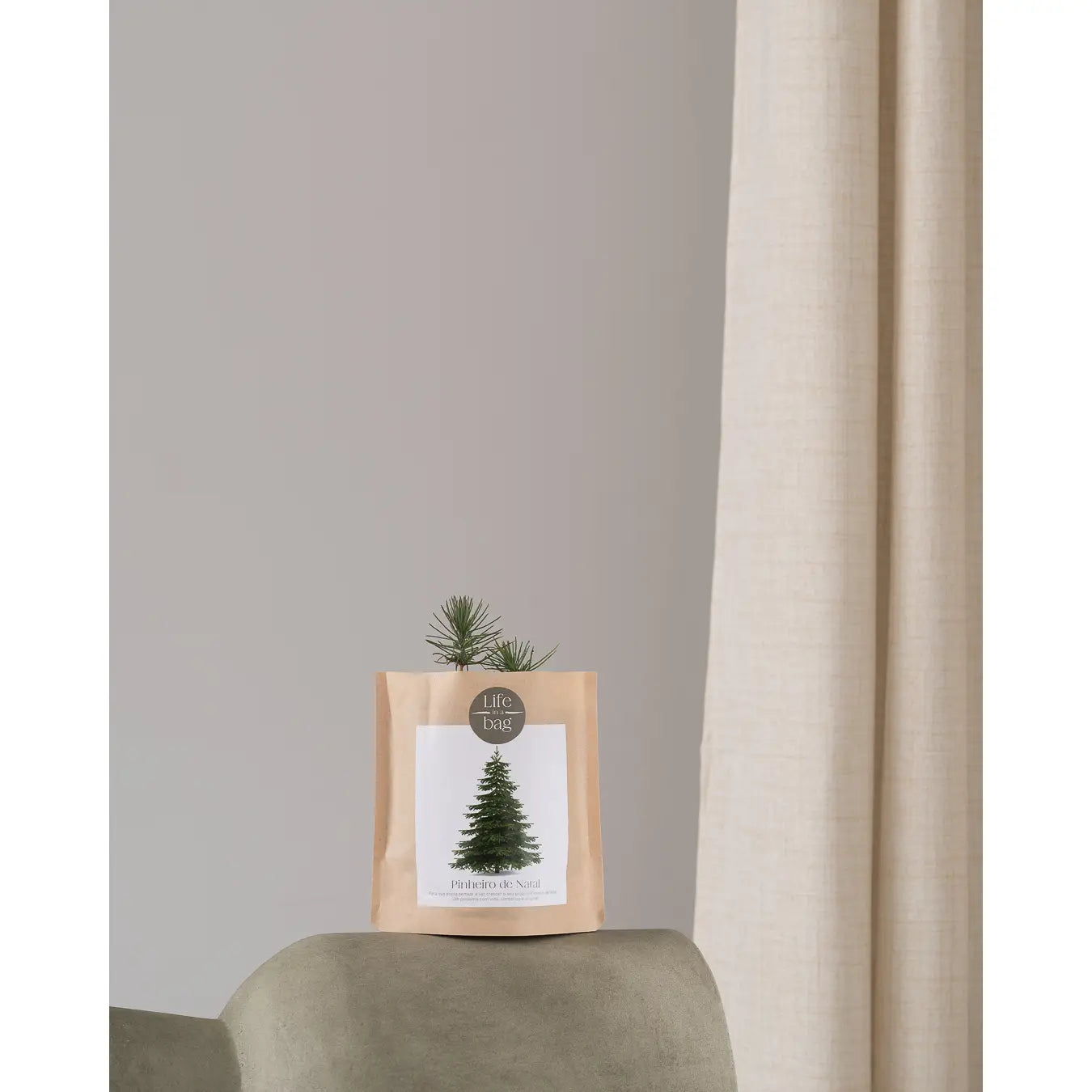 Grow Bag Christmas Tree