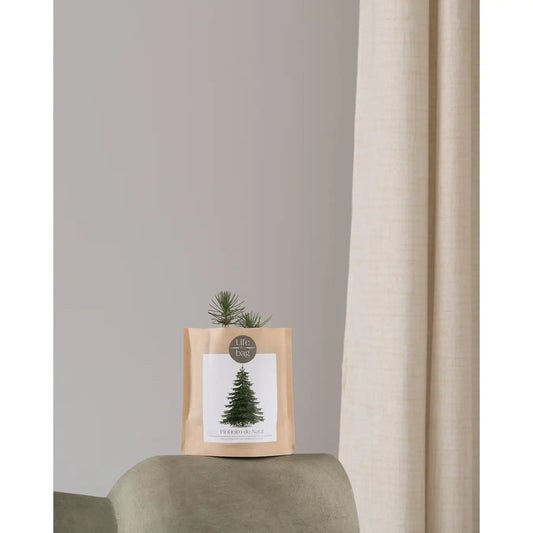 Grow Bag Christmas Tree