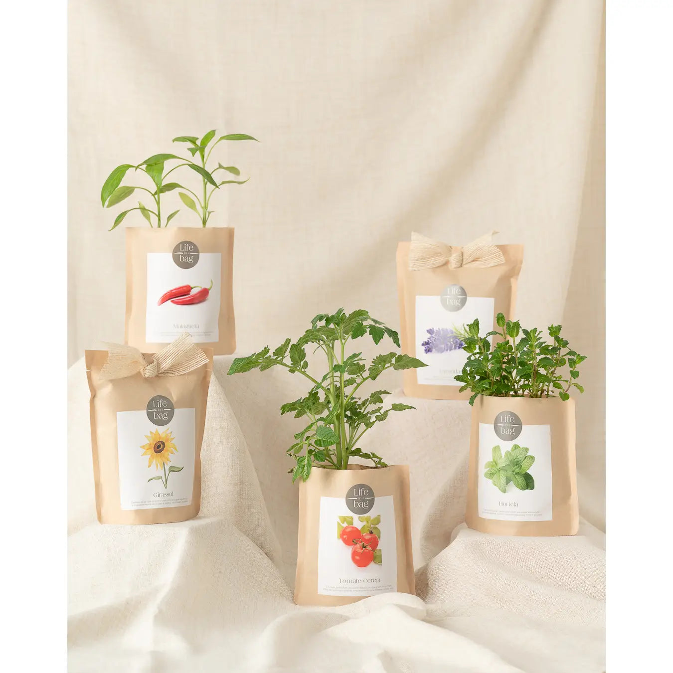 Grow Bag Christmas Tree