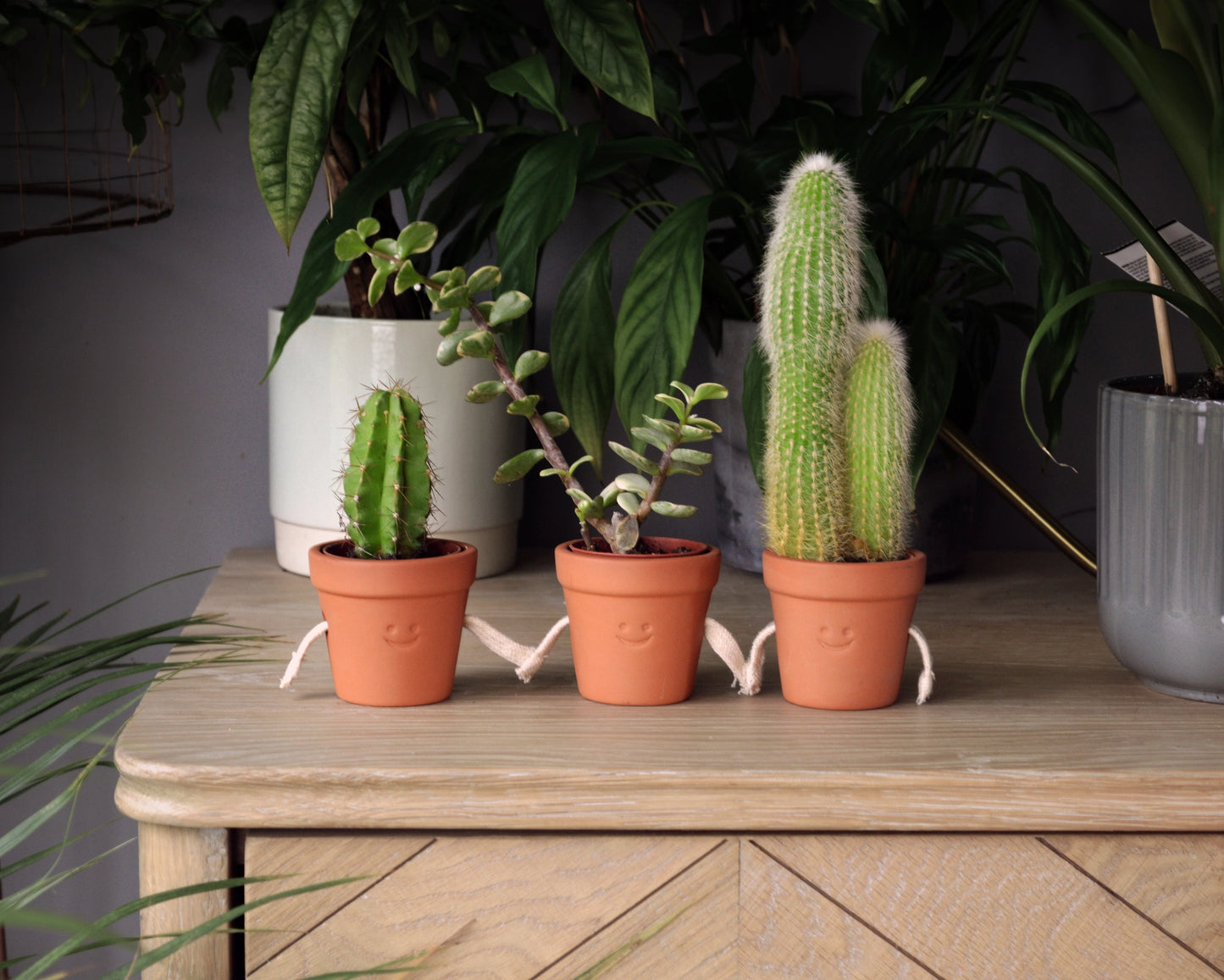 Hand-Holding Succulent Pots