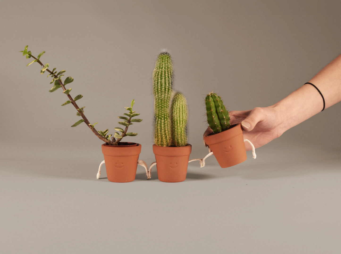 Hand-Holding Succulent Pots