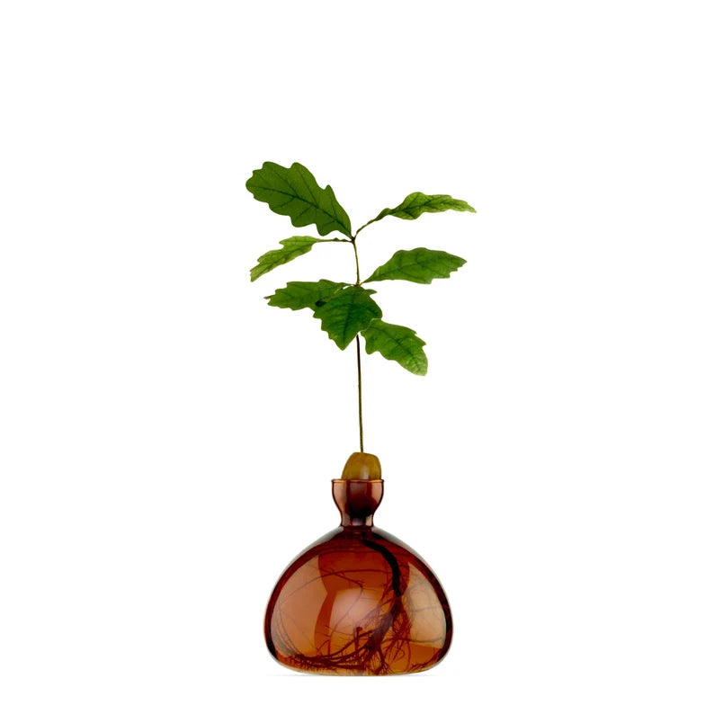 Acorn Vase Russet Brown