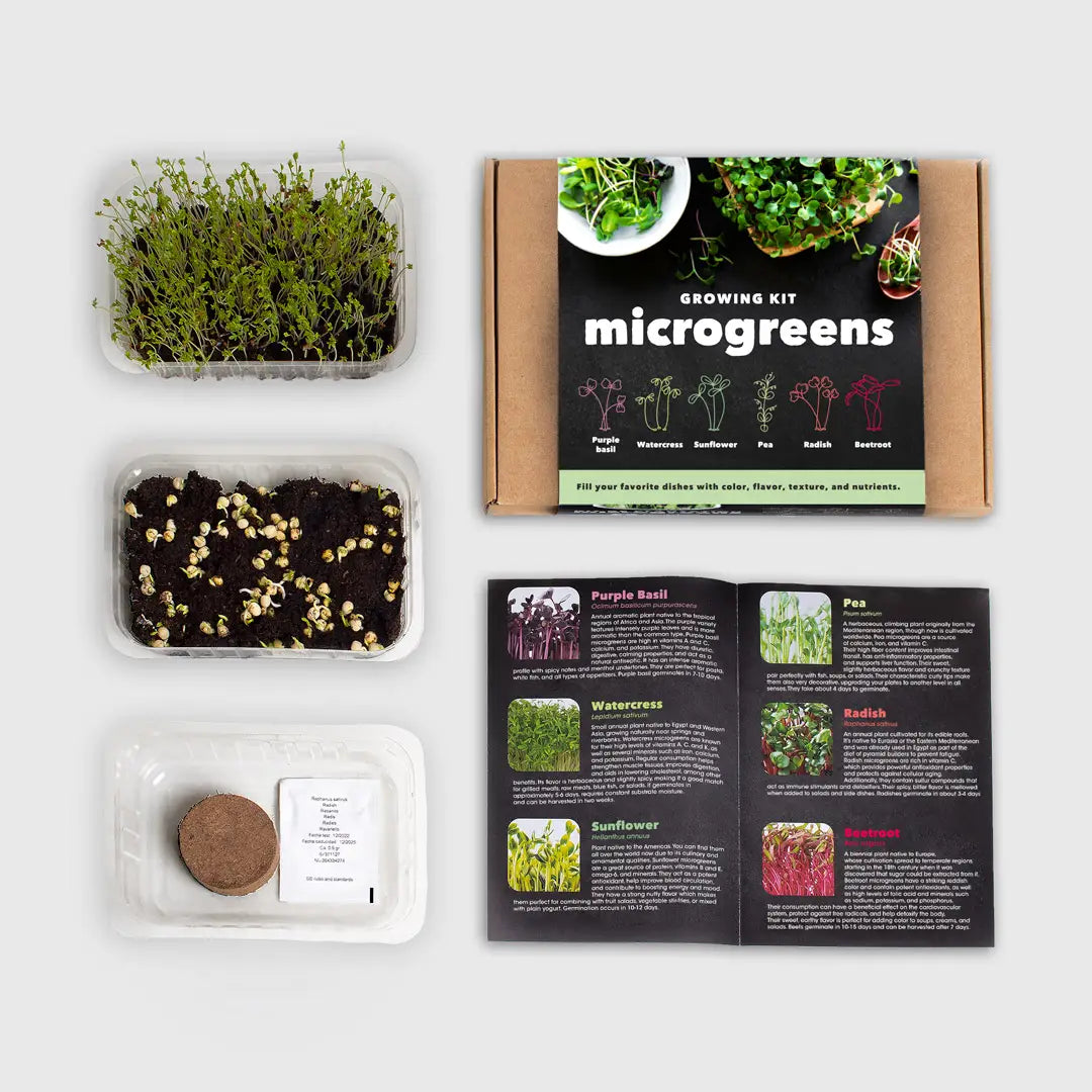 Microgreens Growing Kit