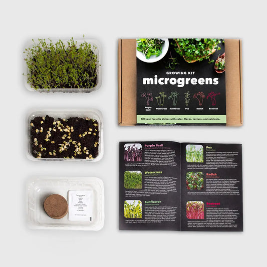 Microgreens Growing Kit