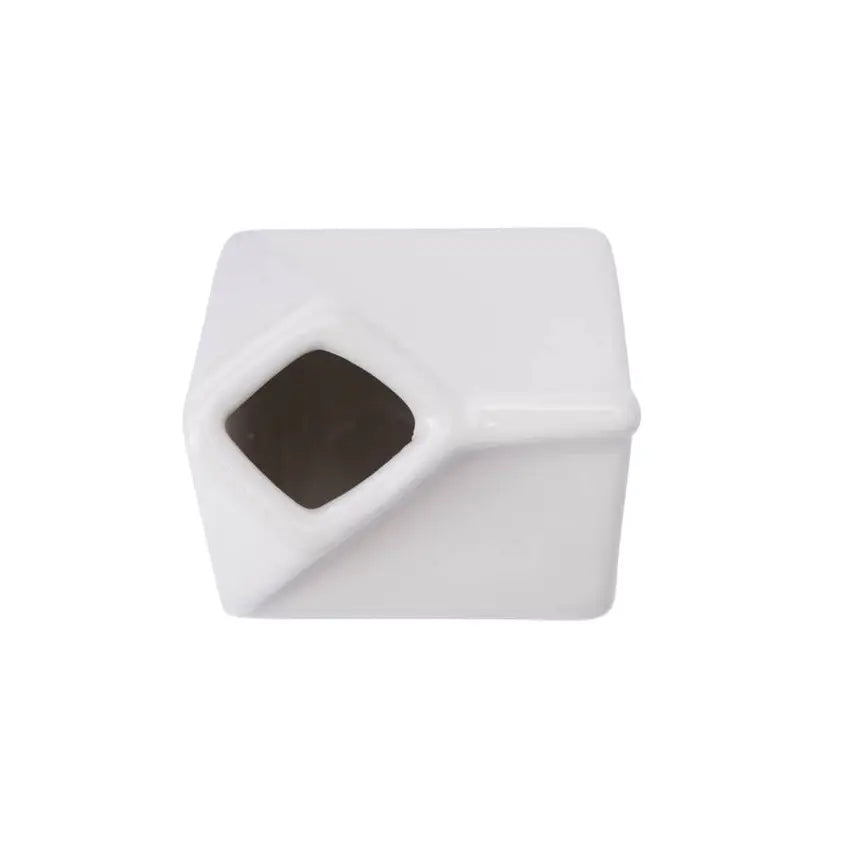 Milk Carton Jug