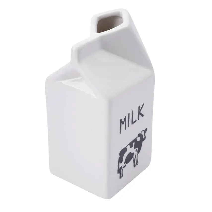 Milk Carton Jug