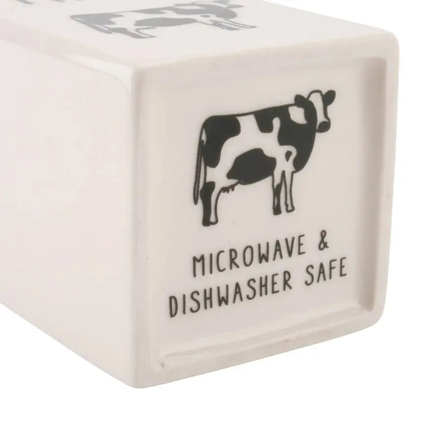 Milk Carton Jug