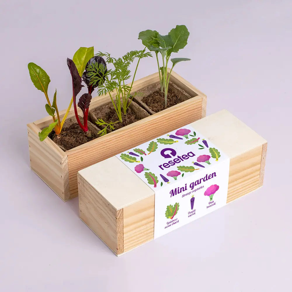 Mini Garden of Unusual Vegetables