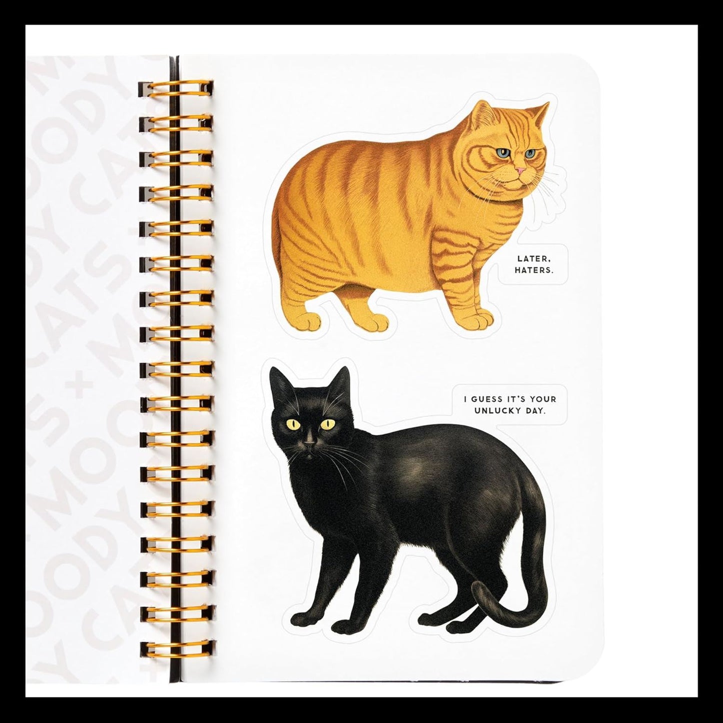 Moody Cats - Sticker Book