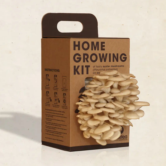Oyster Mushroom Growing Kit