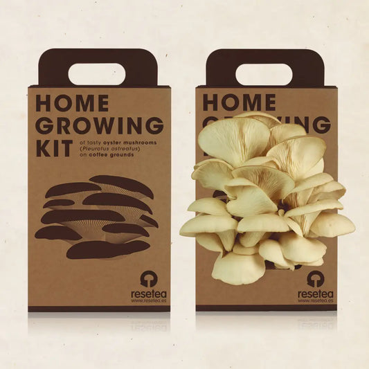 Oyster Mushroom Growing Kit