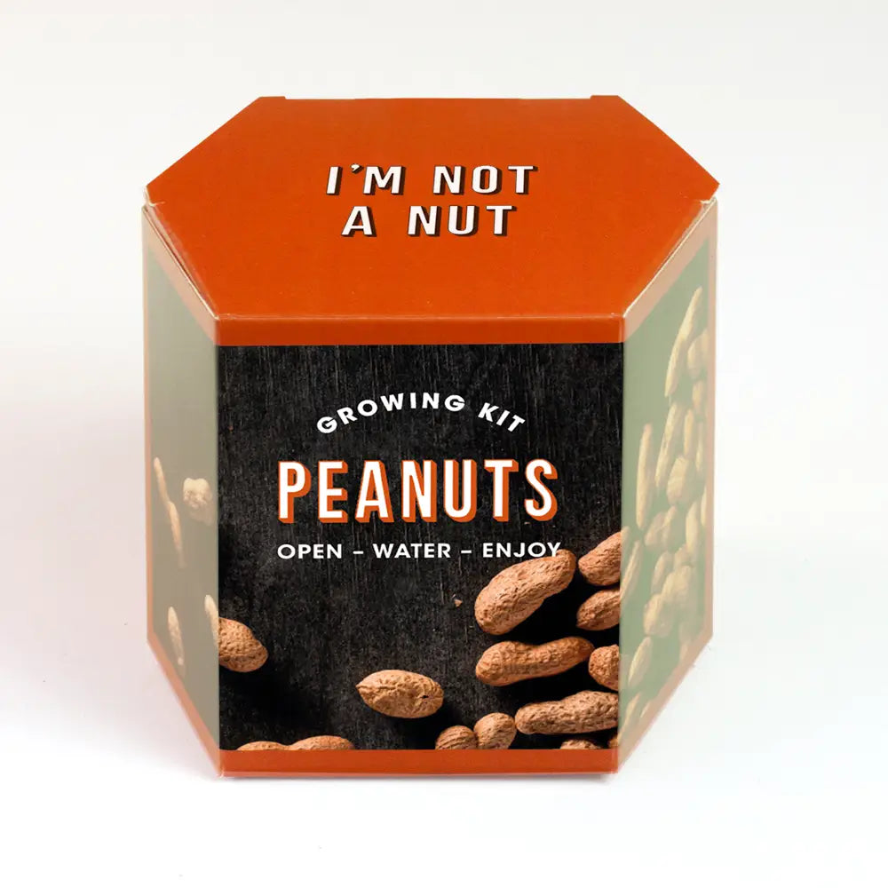 Peanut Growing Kit