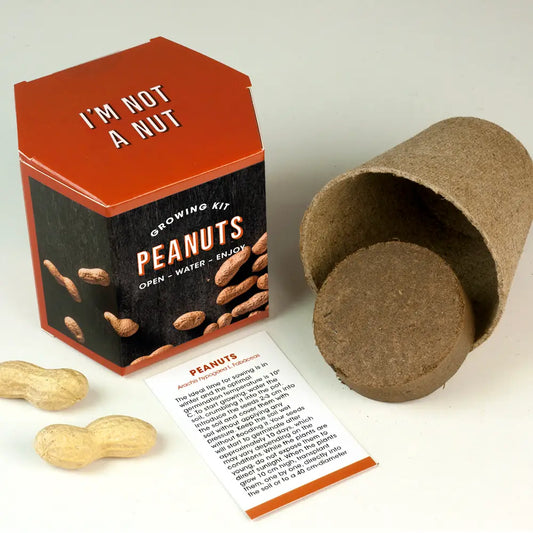 Peanut Growing Kit