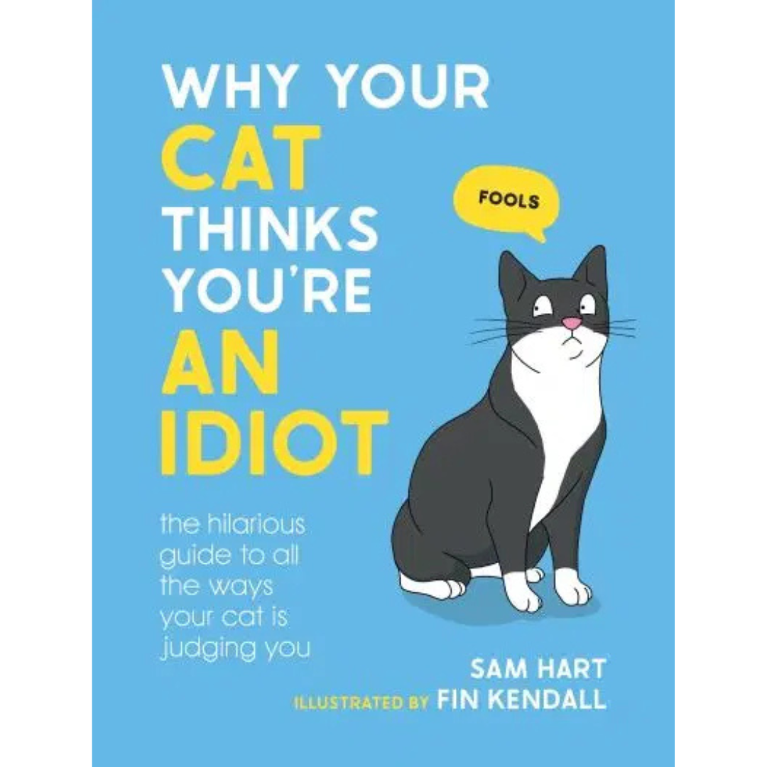 Why Your Cat Thinks You Are An Idiot