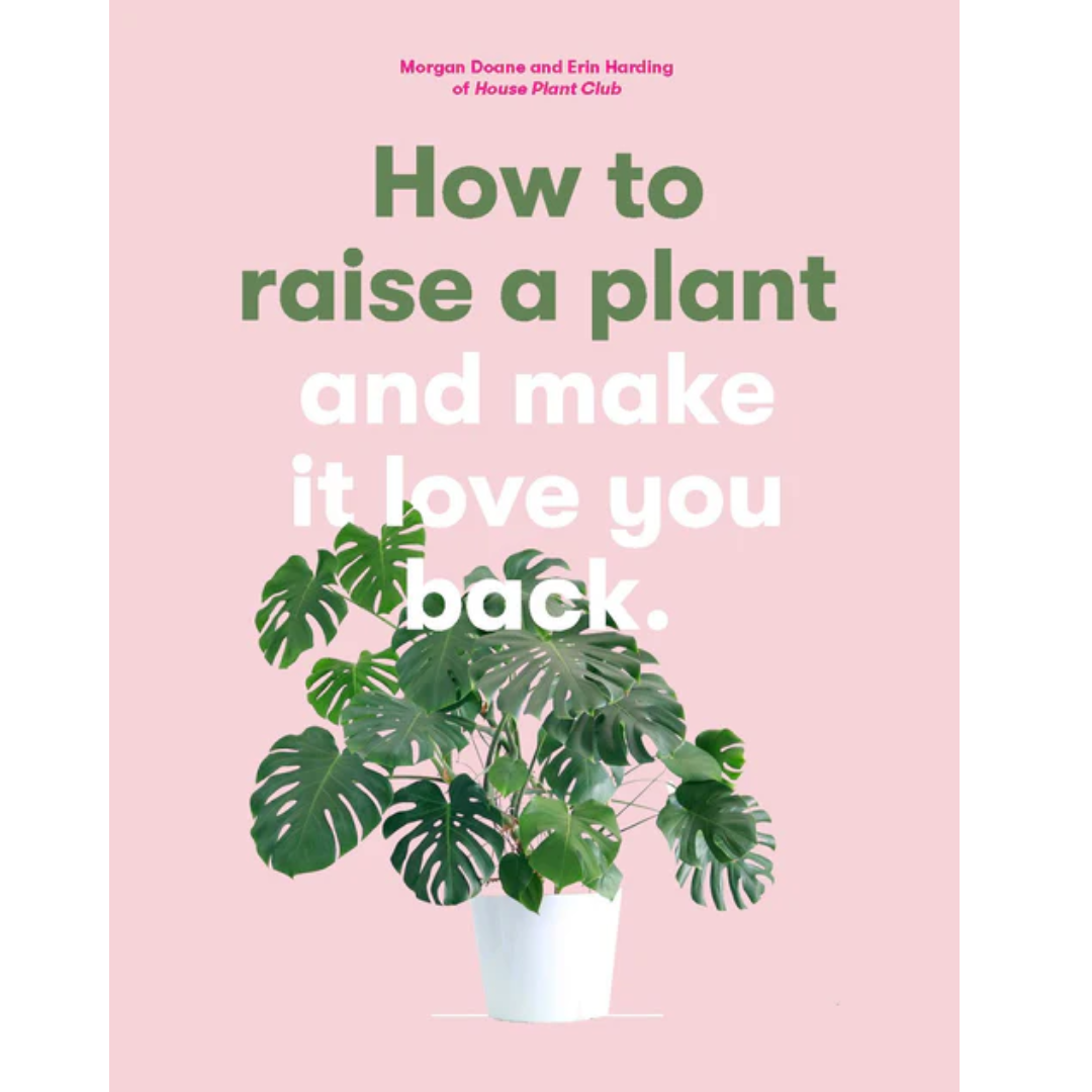 How To Raise A Plant