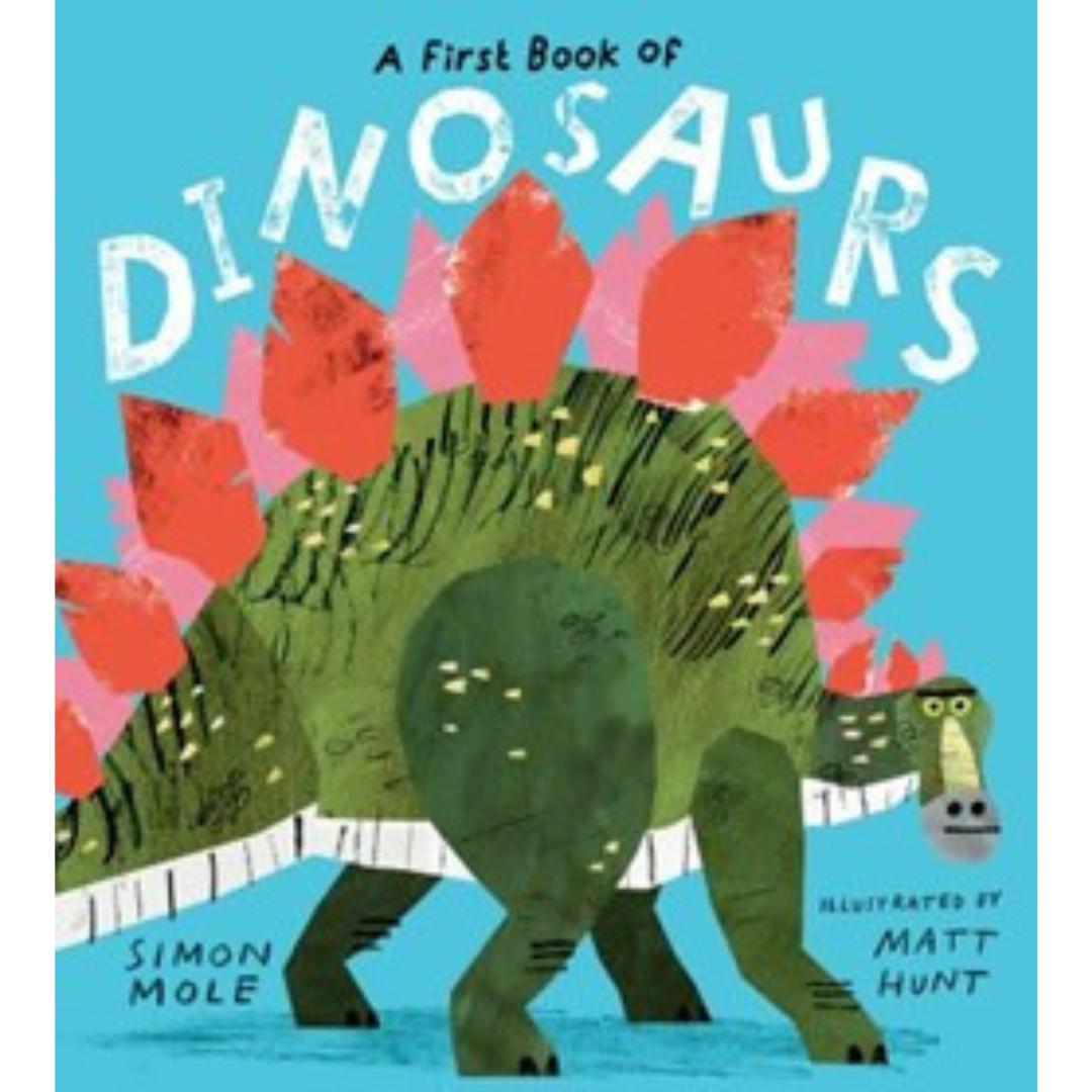 A First Book Of Dinosaurs