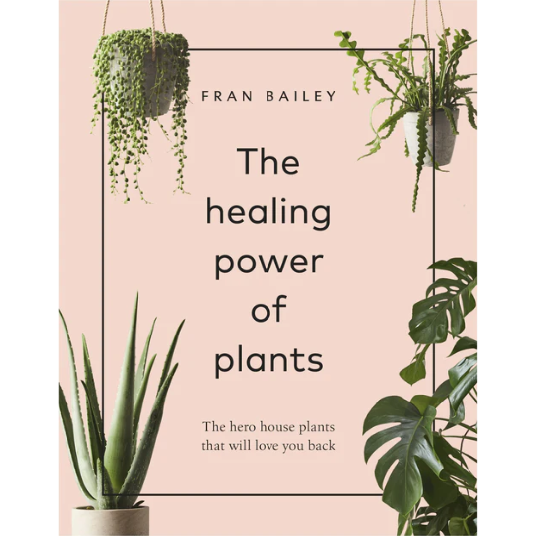 The Healing Power Of Plants