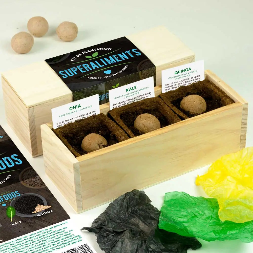 Superfoods Growing Kit