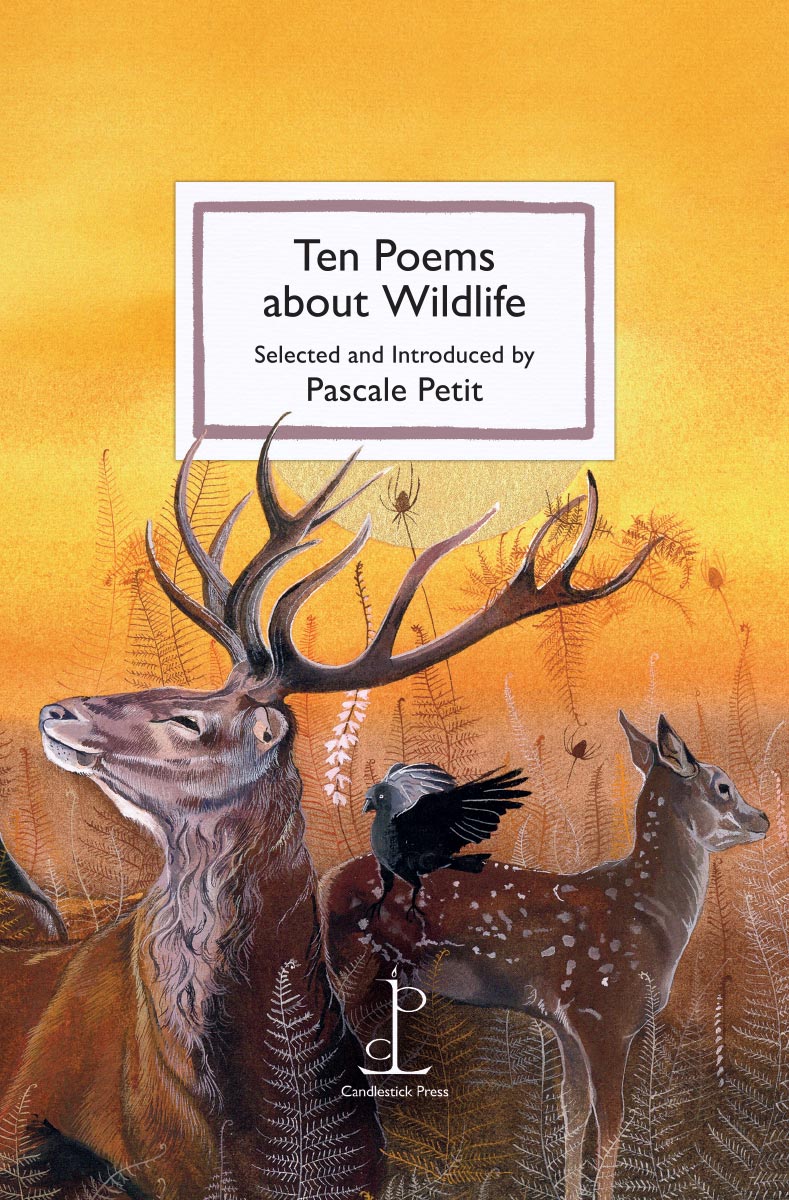 10 Poems About Wildlife