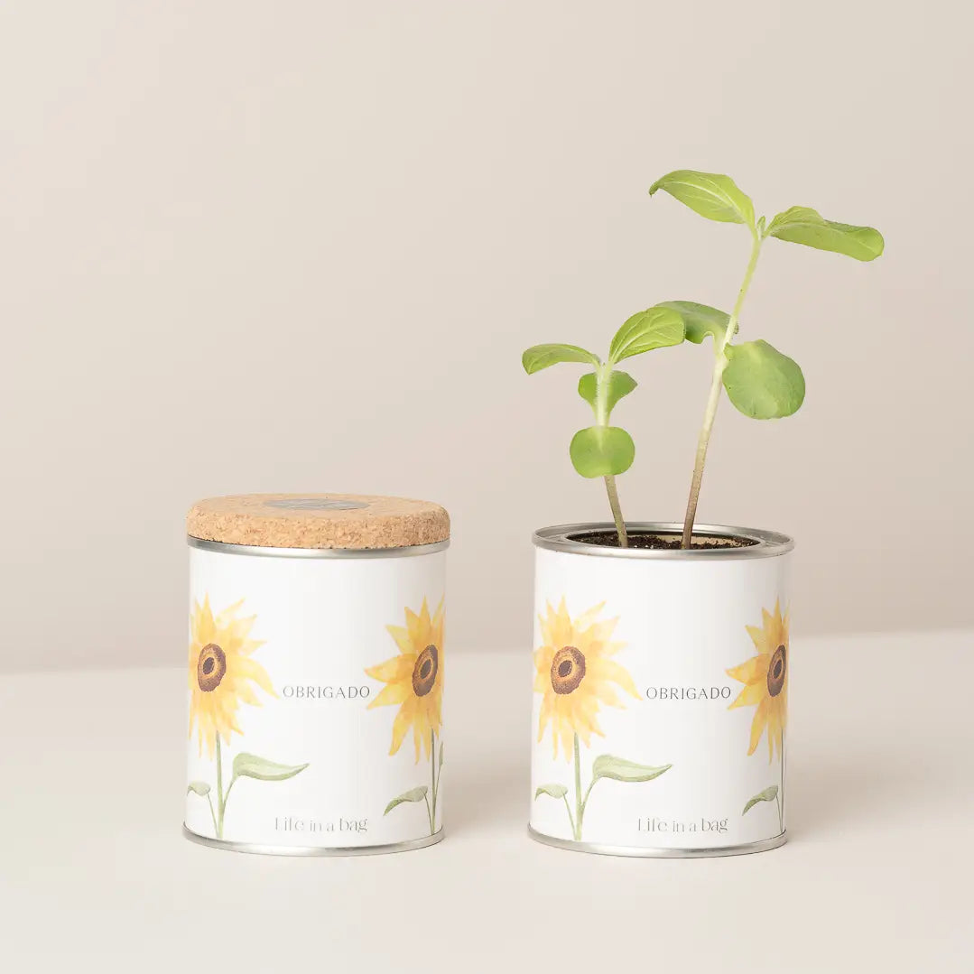 Tin Can Gardening “Thank you” With Sunflower