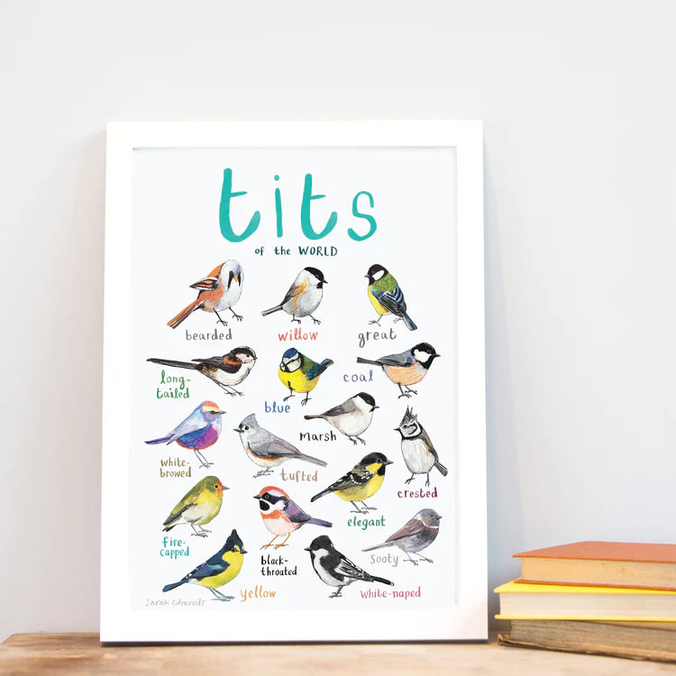 Tits of the World - Bird Art A4 Print