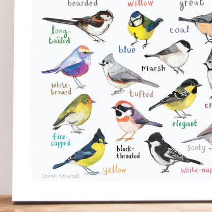 Tits of the World - Bird Art A4 Print