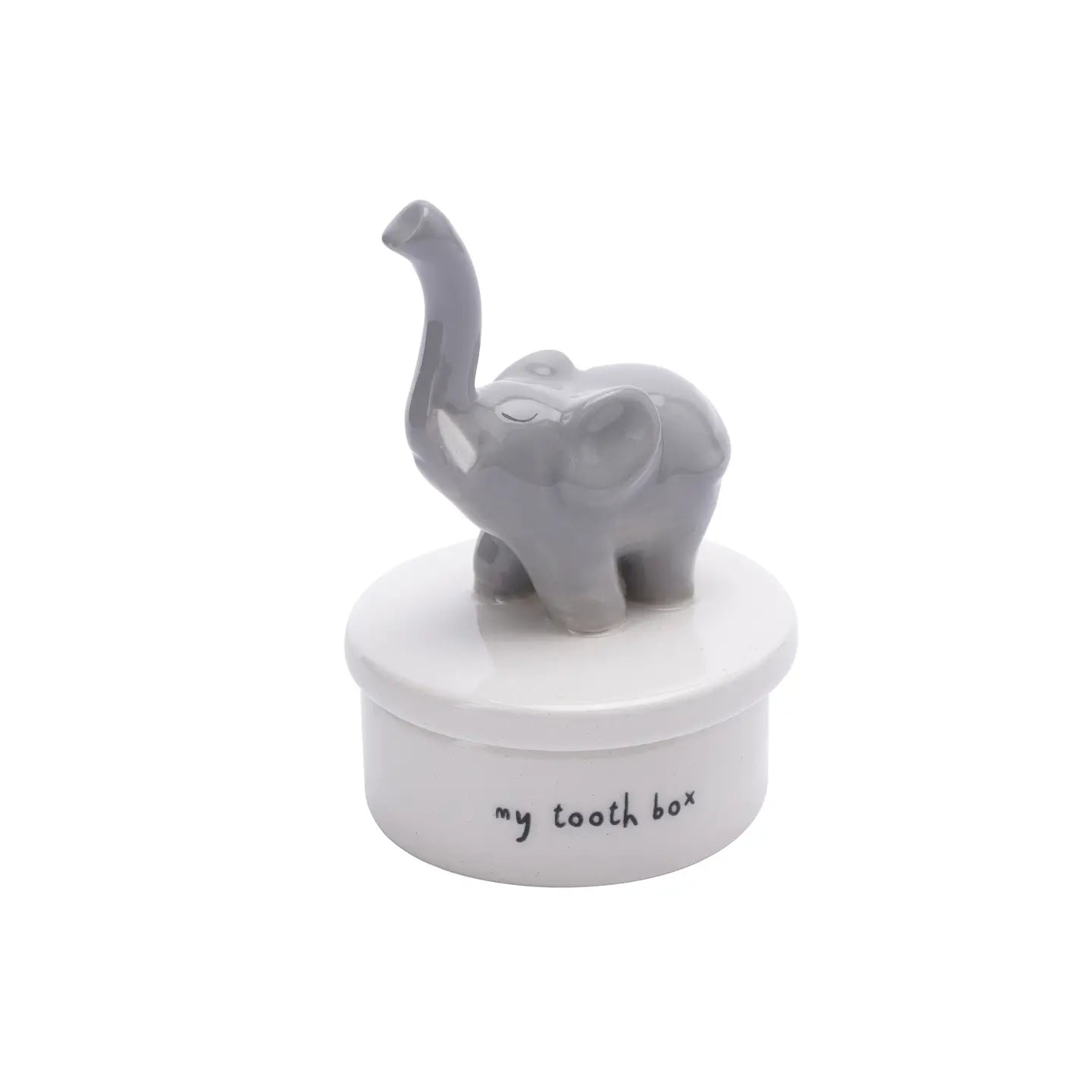 Elephant Tooth Box